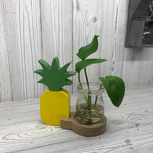 Pineapple Plant Pot